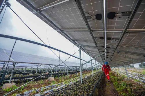 中國十三省最大光伏電站在這里！欽州康熙嶺的光伏電站能排上號了嗎？